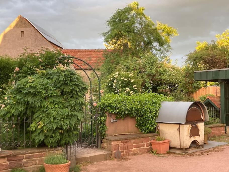 Charmante, Grosszuegige Ferienwohnung Villa Fleurie Bretten Exterior foto